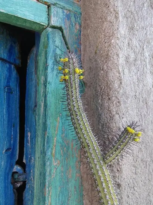 Bella Casita Lägenhet Querétaro